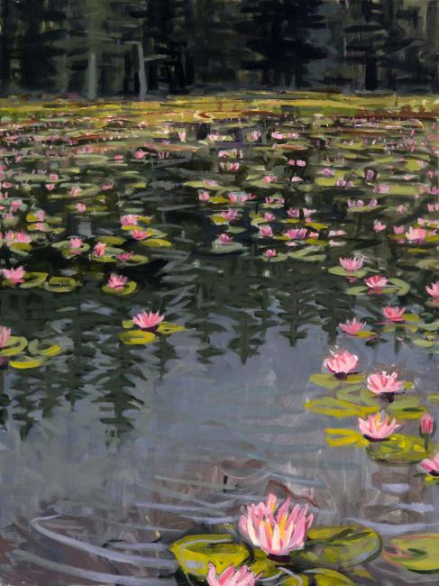 Ames Pond Lilies<br />40x30"<br />Oil on canvas