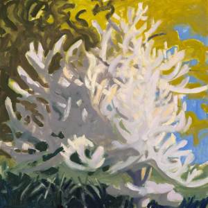 Crabapple24 x 24"Oil on Canvas