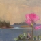 Wild Rose and Islands<br />12 x 12"<br />Oil on Canvas