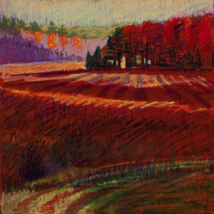 Red Curve, Brooksville Marsh27 x 19"Oil Pastel on Prepared Paper