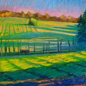 Frost in Shadows27 x 19"Oil Pastel on Prepared Paper