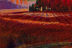 Red Curve, Brooksville Marsh<br/>27 x 19"<br/>Oil Pastel on Prepared Paper